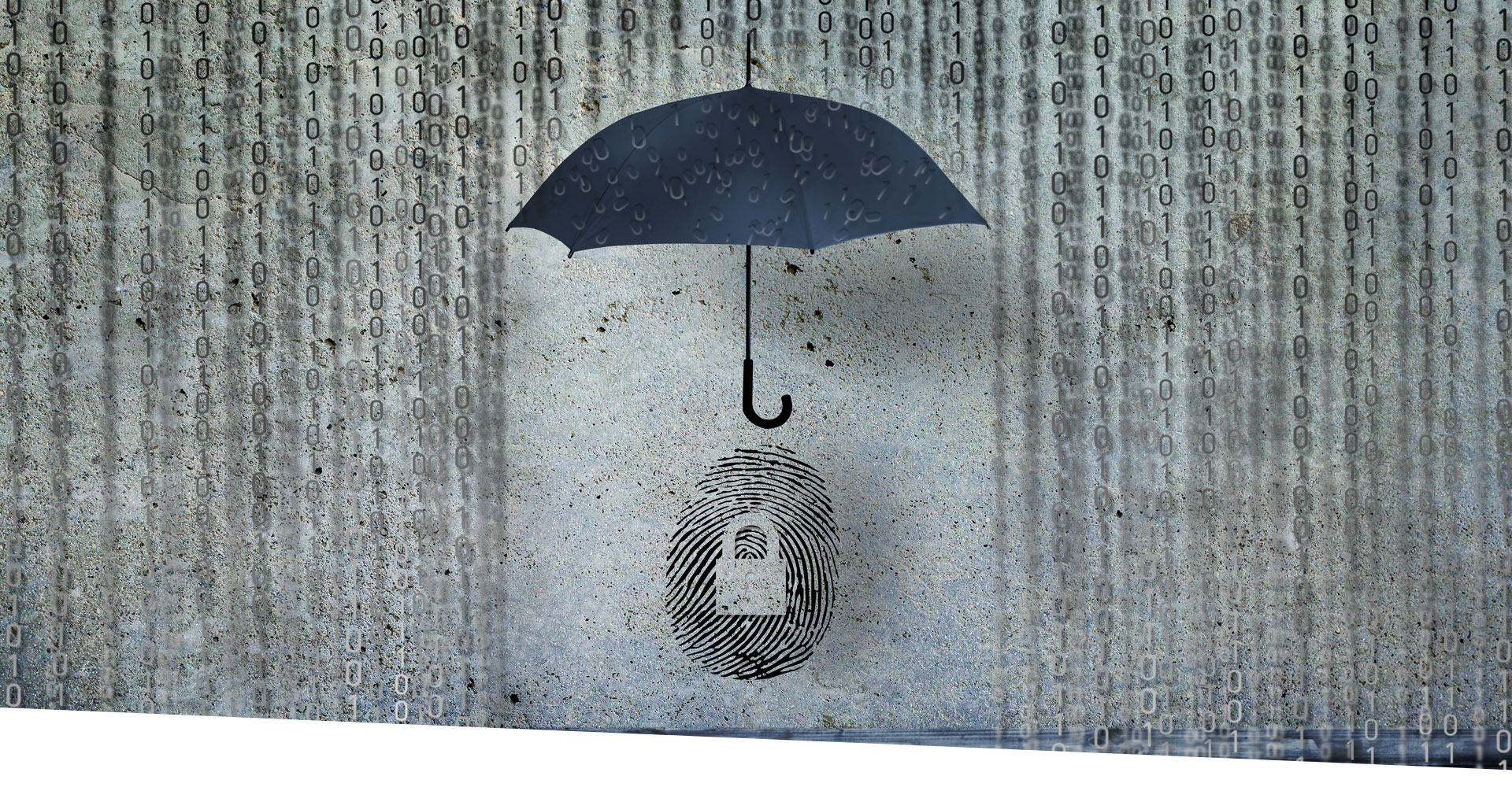 Network Güvenliği Çözümleri